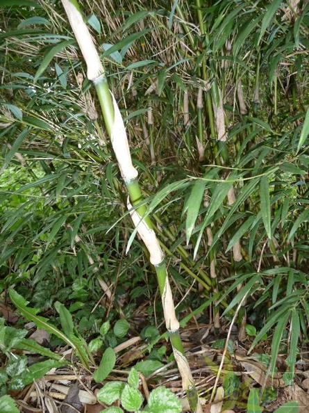 P1070935 2