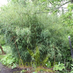 jiuzhaigou 10 001