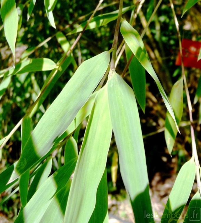utilis 004