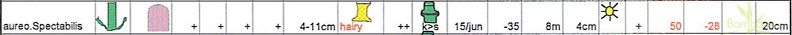 spectabilis.table