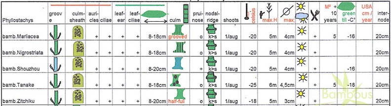 bambusoides.2.table