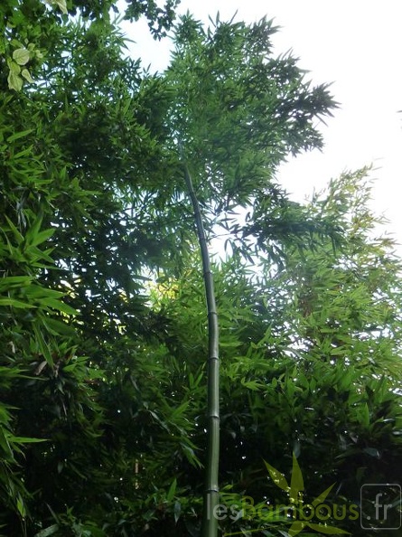 P1030892