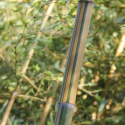 Edulis Nabeshimana