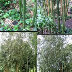 Proquinqua