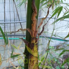 P1020581