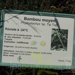 Sp.tip.top