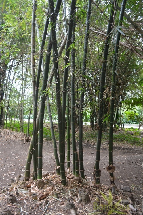 DSC 0437