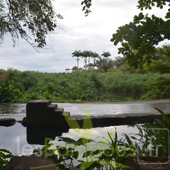 DSC 0465