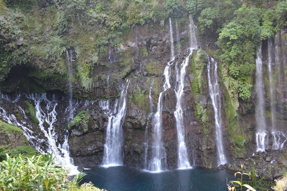 DSC 0630