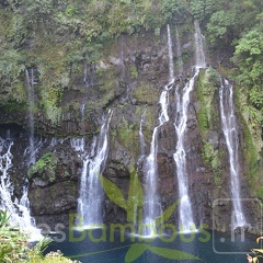 DSC 0630