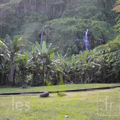 DSC 0690