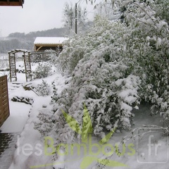 DSCN9674