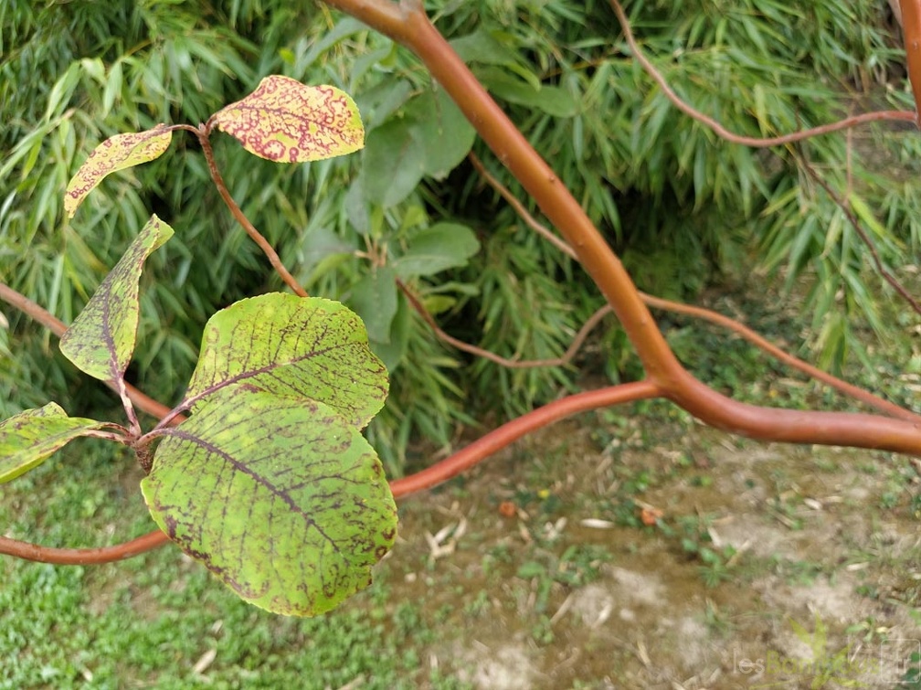 IMG 20200918 164143