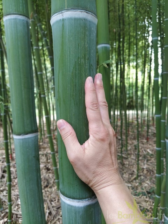 IMG 20200918 170115