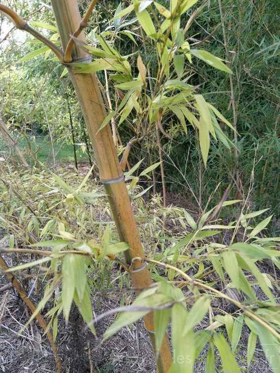 IMG 20200918 171837