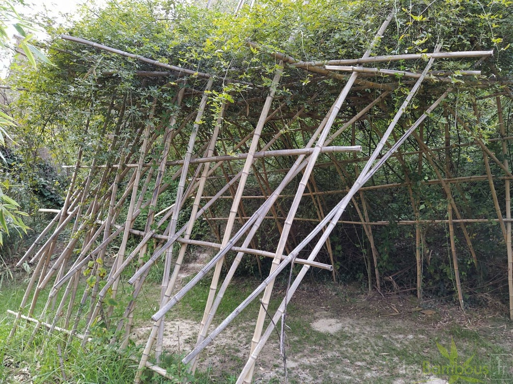 IMG 20200918 175634