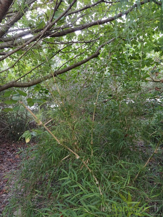IMG 20200918 180254