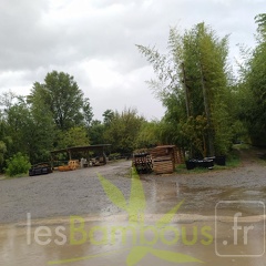IMG 20200919 115324