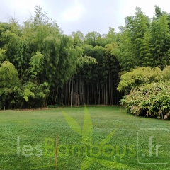 IMG 20200919 095130