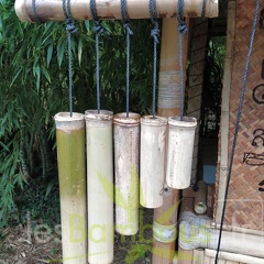 IMG 20200919 095245