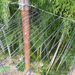 IMG 20200919 095829