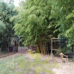 IMG 20200919 103118