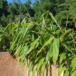 Tessalata