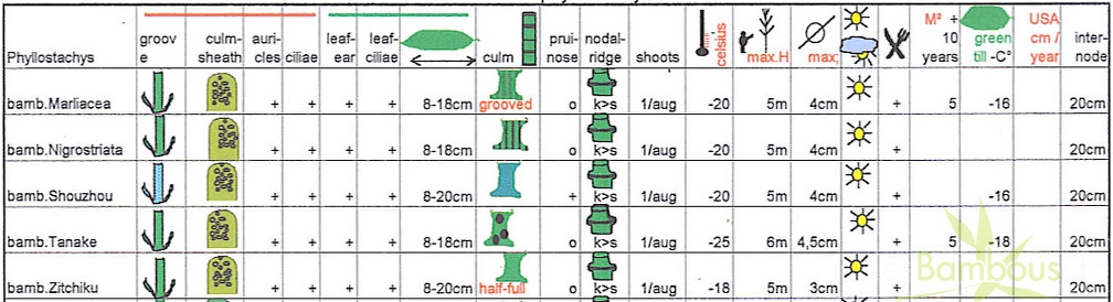 bambusoides.2.table