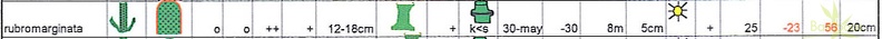 rubromarginata.table