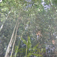 IMG 3835
