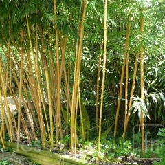 P1000015