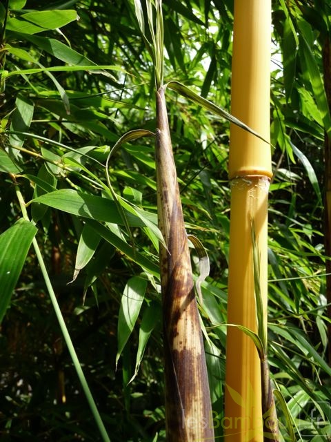 P1000048