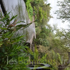 DSC 0435