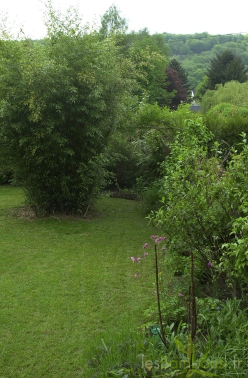 DSC 0001