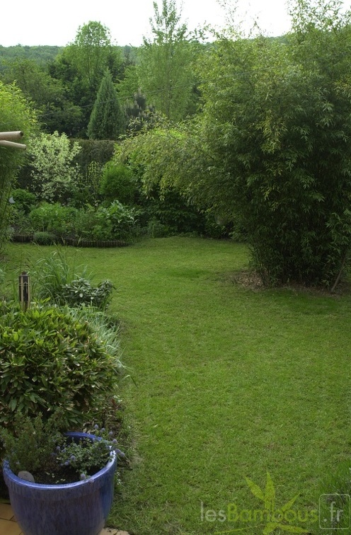 DSC 0002