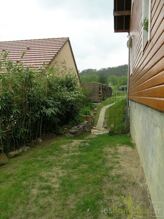 DSCN4402(1)