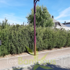 jiu1 mai 2020