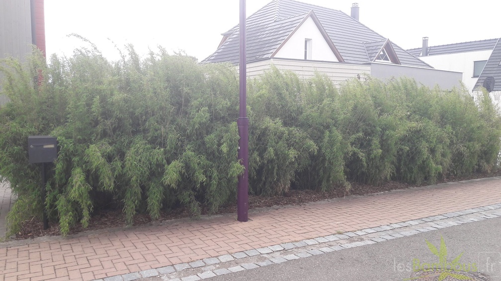 jiu1 septembre 2017