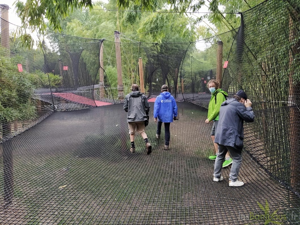 IMG 20200919 100102