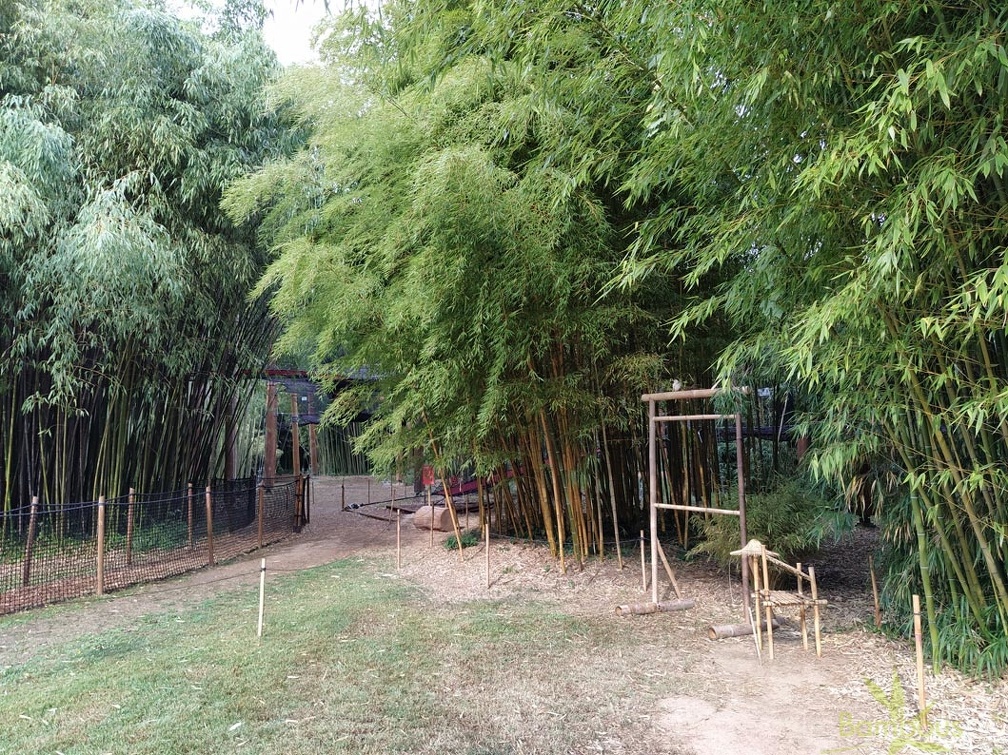 IMG 20200919 103118